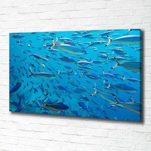 Print pe canvas pește Coral