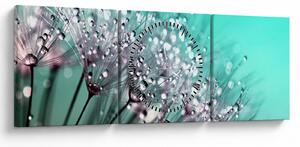 Tablou - planta cu rouă (cu ceas) (90x30 cm)