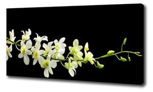 Imprimare tablou canvas Orhidee