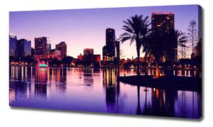 Imprimare tablou canvas Orlando, Statele Unite ale Americii