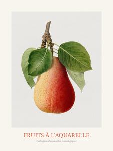 Reproducere Pear (Watercolour Kitchen Fruit)