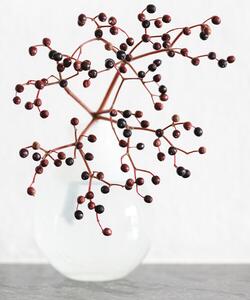 Fotografie Vase_berries, Studio Collection