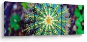 Tablou cu cactus (cu ceas) (90x30 cm)