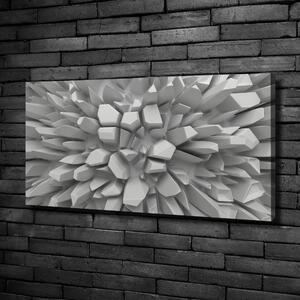 Tablou canvas 3D Abstracție
