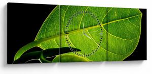 Tablou - frunză verde (cu ceas) (90x30 cm)