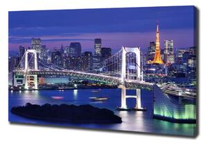 Tablouri tipărite pe pânză Podul din Tokyo