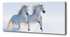 Tablou pe pânză Doi cai în zăpadă