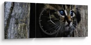Tablou cu pisicuța (cu ceas) (90x30 cm)