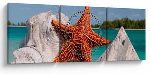 Tablou cu stea de mare (cu ceas) (90x30 cm)