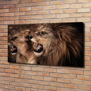 Print pe canvas răcnește lei