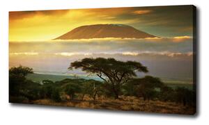 Tablouri tipărite pe pânză Kilimanjaro Kenya