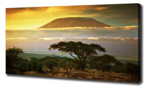 Tablouri tipărite pe pânză Kilimanjaro Kenya
