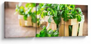 Tablou cu menta proaspătă (cu ceas) (90x30 cm)