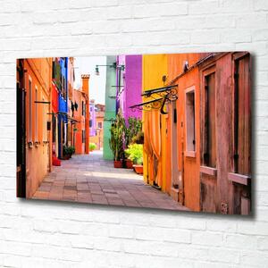 Tablou pe pânză canvas străzile pline de culoare