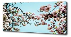 Tablou pe pânză flori magnolia