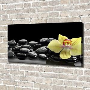 Print pe canvas Orhidee
