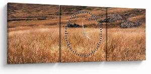 Tablou cu câmp (cu ceas) (90x30 cm)