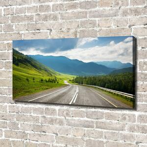 Tablou pe pânză canvas Drumul în munți