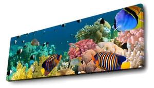 Tablou Canvas cu Led Aquarium fara priza, Multicolor, 90x3x30 cm
