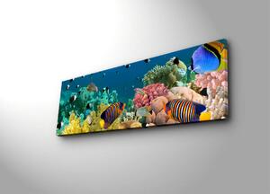 Tablou Canvas cu Led Aquarium fara priza, Multicolor, 90x3x30 cm