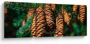Tablou cu con de brad (cu ceas) (90x30 cm)