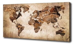Imprimare tablou canvas Harta lemnului mondial