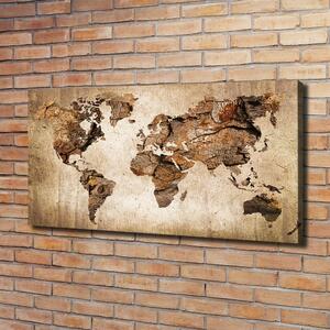 Imprimare tablou canvas Harta lemnului mondial