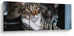 Tablou cu pisica (cu ceas) (90x30 cm)