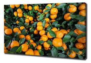 Tablouri tipărite pe pânză mandarine