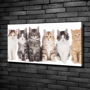 Tablou pe pânză șase pisici