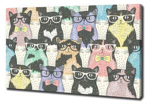 Imprimare tablou canvas pisici ochelari