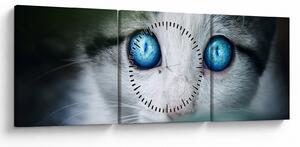 Tablou cu pisica (cu ceas) (90x30 cm)