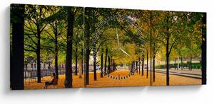 Tablou cu alee cu copaci în toamnă (cu ceas) (90x30 cm)