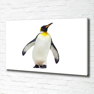 Tablou pe pânză canvas Pinguin