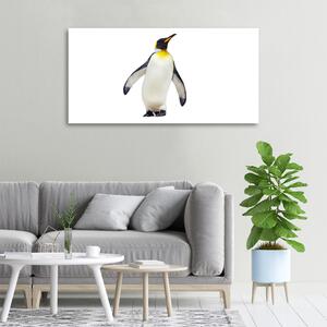 Tablou pe pânză canvas Pinguin