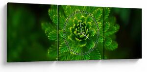 Tablou cu coniferi (cu ceas) (90x30 cm)