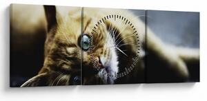 Tablou cu pisica (cu ceas) (90x30 cm)