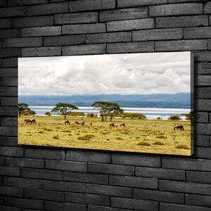 Print pe canvas Lacul Naivasha