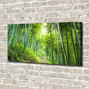 Tablou canvas pădure de bambus