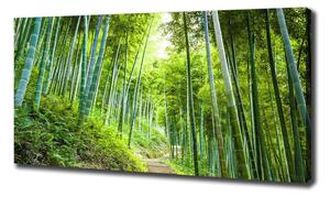 Tablou canvas pădure de bambus