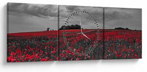 Tablou cu maci (cu ceas) (90x30 cm)