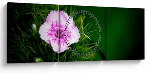 Tablou cu floare roz (cu ceas) (90x30 cm)