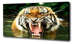 Print pe pânză hohotitor tigru