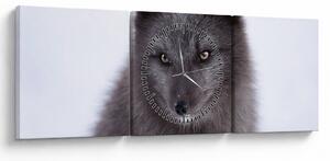 Tablou cu vulpe polară (cu ceas) (90x30 cm)
