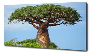 Tablou canvas Baobab