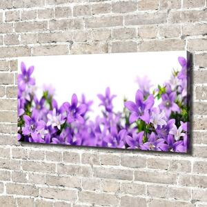 Print pe canvas clopote violet