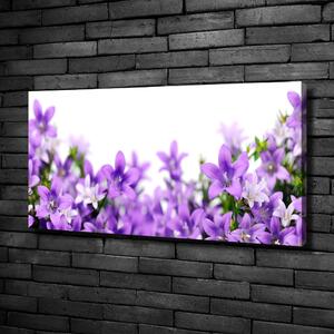 Print pe canvas clopote violet
