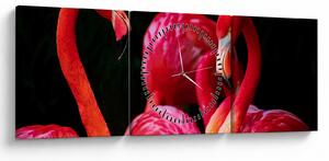 Tablou cu flamengo roșii (cu ceas) (90x30 cm)