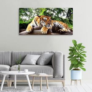 Tablou canvas Tiger pe stâncă