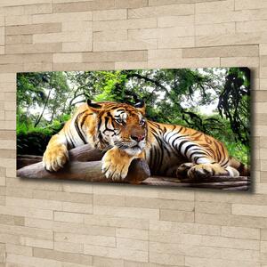 Tablou canvas Tiger pe stâncă